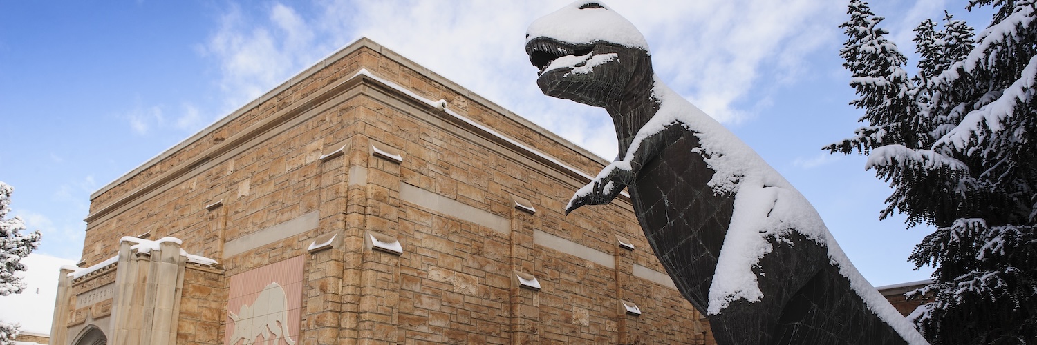 Uw Dinosaur Geology Museum